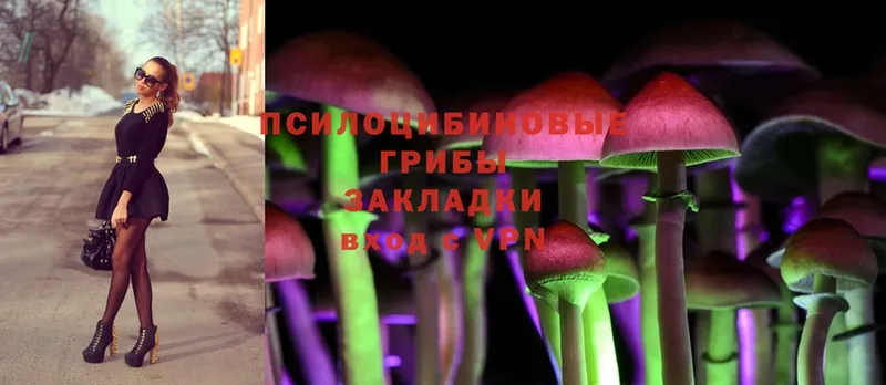 кракен зеркало  Воткинск  Галлюциногенные грибы Psilocybine cubensis 